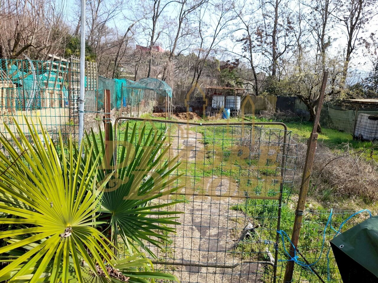 ANTLV     1.jpg - Agricultural land Verbania - photo 2