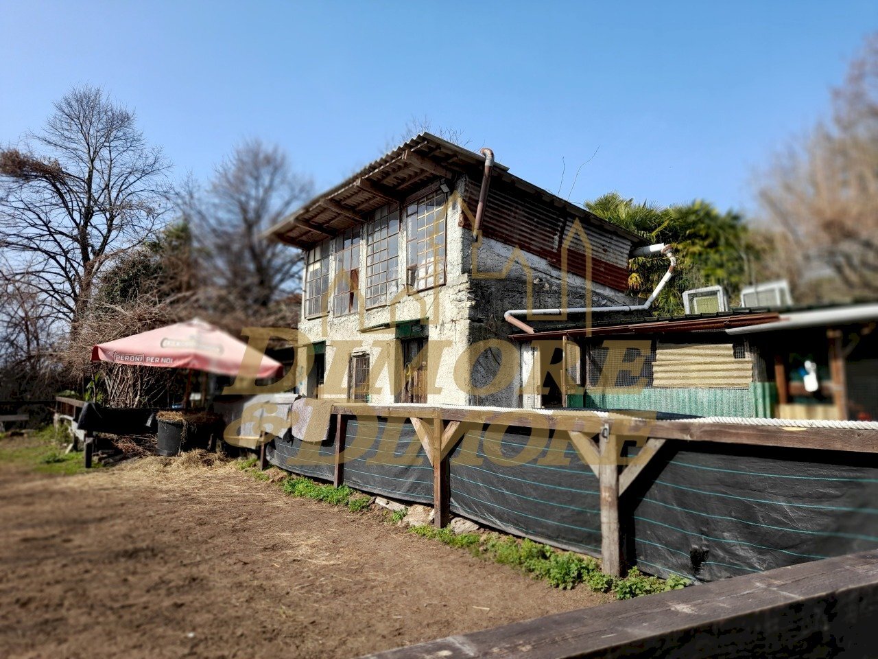 20260307_111220.jpg - Agricultural land Verbania - photo 3