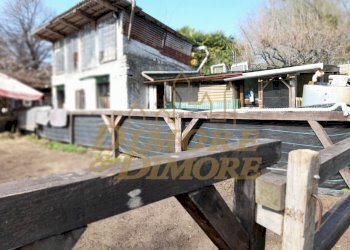 ANTLV     3.jpg - Agricultural land Verbania - photo 1