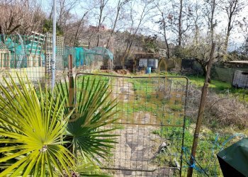 ANTLV     1.jpg - Agricultural land Verbania - photo 2