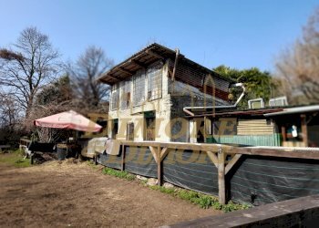 20260307_111220.jpg - Agricultural land Verbania - photo 3