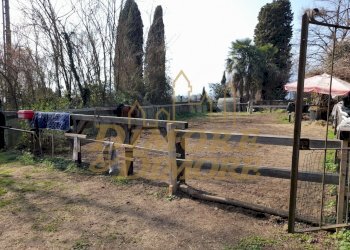 ANTLV     2.jpg - Agricultural land Verbania - photo 4