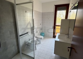 IMG_0917.jpeg - Casa indipendente Via Antonio Gramsci, Villadose - foto 11