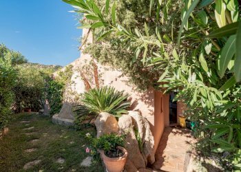 GS309133.jpg - Appartamento Arzachena - foto 8