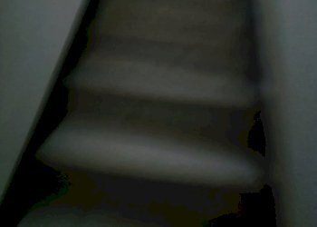 IMG20250109114650.jpg - Shed Via Terpi 45 R, Genova (neighborhood Molassana) - photo 20