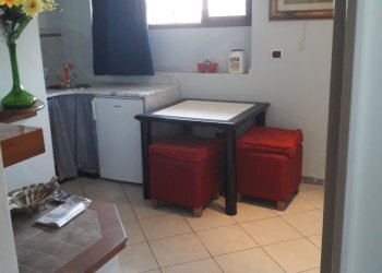 20220905_160516.jpg - One-room apartment Pietrasanta - photo 10