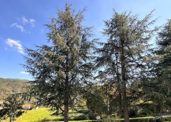 panorama - Quadrilocale Via del Bisenzio, Vernio - foto 14