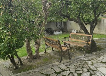 20260309_094657.jpg - Quadrilocale Sarzana - foto 1