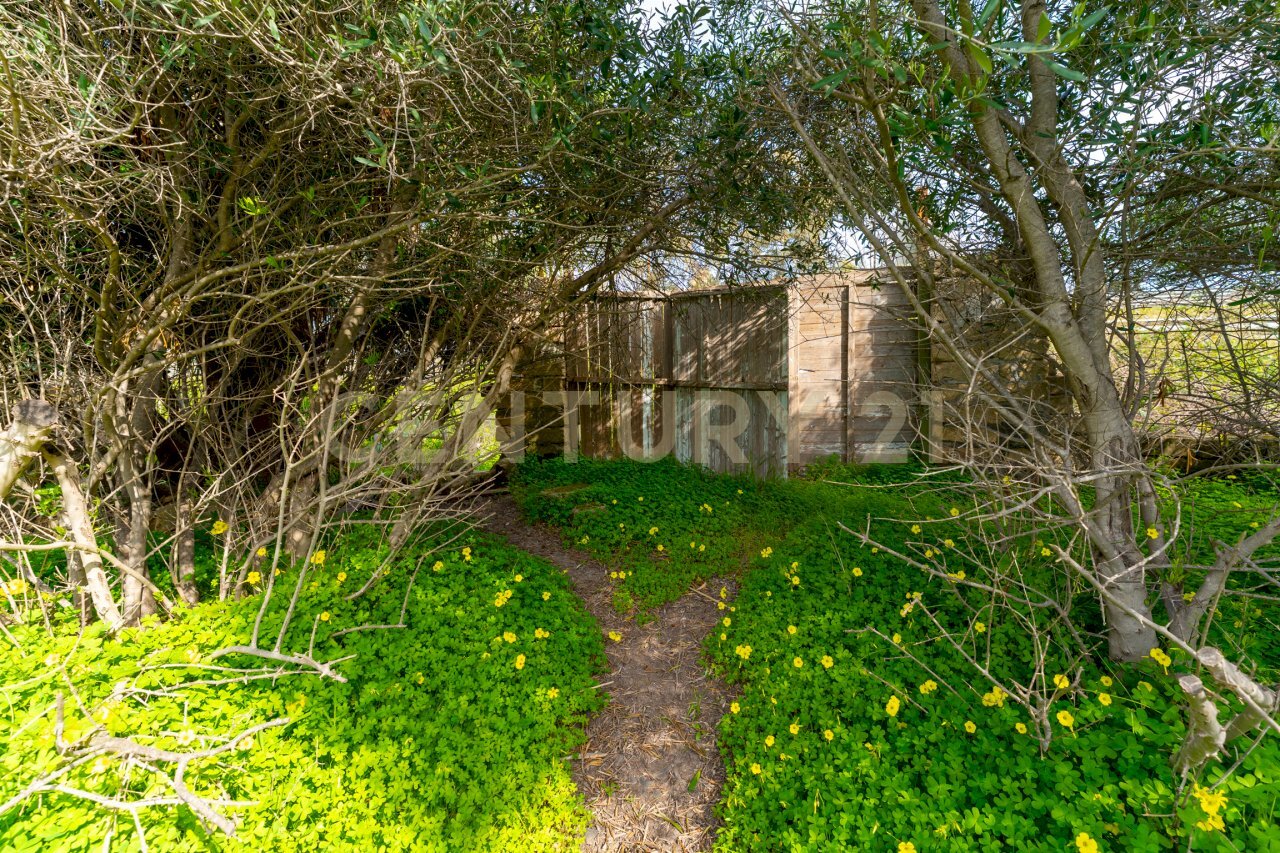 Terreno Vaccarizzo (4).jpg - Agricultural land Contrada Vaccarizzo, Catania - photo 1