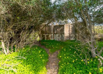 Terreno Vaccarizzo (4).jpg - Agricultural land Contrada Vaccarizzo, Catania - photo 1