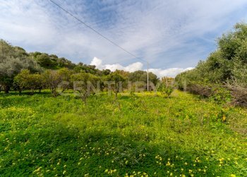 Terreno Vaccarizzo (5).jpg - Agricultural land Contrada Vaccarizzo, Catania - photo 2