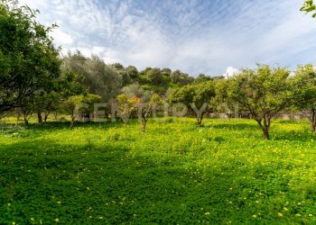 Terreno Vaccarizzo (6).jpg - Agricultural land Contrada Vaccarizzo, Catania - photo 3