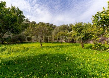 Terreno Vaccarizzo (11).jpg - Agricultural land Contrada Vaccarizzo, Catania - photo 7