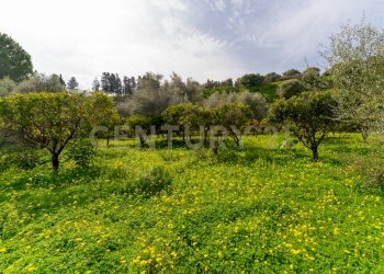 Terreno Vaccarizzo (14).jpg - Agricultural land Contrada Vaccarizzo, Catania - photo 11
