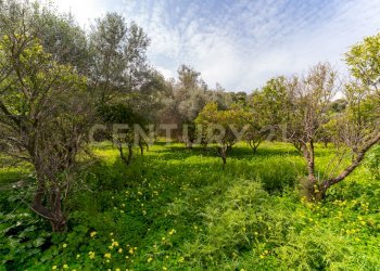 Terreno Vaccarizzo (15).jpg - Agricultural land Contrada Vaccarizzo, Catania - photo 12