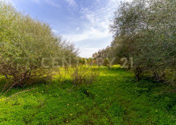 Terreno Vaccarizzo (16).jpg - Agricultural land Contrada Vaccarizzo, Catania - photo 13
