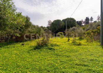 Terreno Vaccarizzo (17).jpg - Agricultural land Contrada Vaccarizzo, Catania - photo 14
