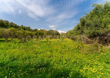 Terreno Vaccarizzo (18).jpg - Agricultural land Contrada Vaccarizzo, Catania - photo 15