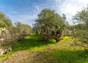 Terreno Vaccarizzo (20).jpg - Agricultural land Contrada Vaccarizzo, Catania - photo 17