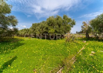 Terreno Vaccarizzo (21).jpg - Agricultural land Contrada Vaccarizzo, Catania - photo 18
