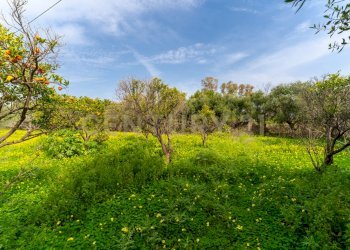 Terreno Vaccarizzo (22).jpg - Agricultural land Contrada Vaccarizzo, Catania - photo 19