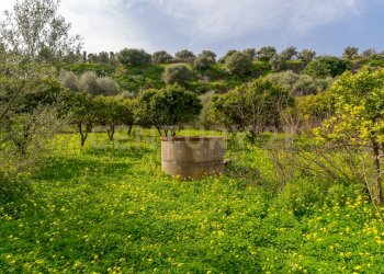 Terreno Vaccarizzo (24).jpg - Agricultural land Contrada Vaccarizzo, Catania - photo 21