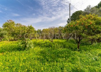 Terreno Vaccarizzo (26).jpg - Agricultural land Contrada Vaccarizzo, Catania - photo 23