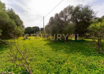 Terreno Vaccarizzo (27).jpg - Agricultural land Contrada Vaccarizzo, Catania - photo 24