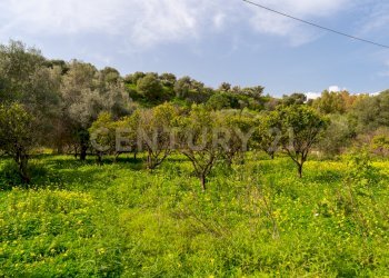 Terreno Vaccarizzo (28).jpg - Agricultural land Contrada Vaccarizzo, Catania - photo 25