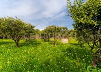 Terreno Vaccarizzo (29).jpg - Agricultural land Contrada Vaccarizzo, Catania - photo 26