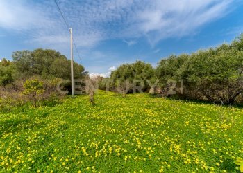 Terreno Vaccarizzo (31).jpg - Agricultural land Contrada Vaccarizzo, Catania - photo 28