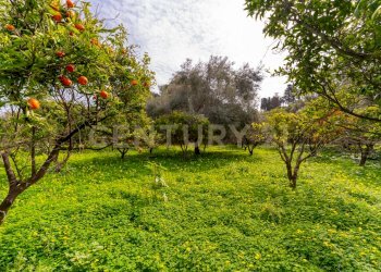 Terreno Vaccarizzo (32).jpg - Agricultural land Contrada Vaccarizzo, Catania - photo 29