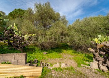 Terreno Vaccarizzo (33).jpg - Agricultural land Contrada Vaccarizzo, Catania - photo 30