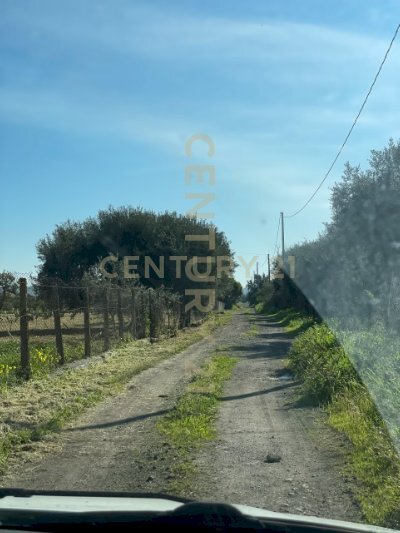 IMG_2054.jpeg - Agricultural land contrada agnelleria, Belpasso - photo 3