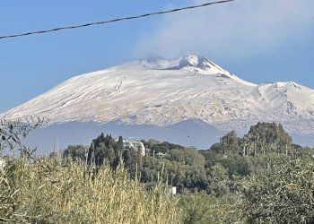 IMG_2053.jpeg - Agricultural land contrada agnelleria, Belpasso - photo 1
