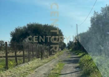 IMG_2054.jpeg - Agricultural land contrada agnelleria, Belpasso - photo 3