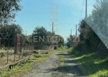 IMG_2055.jpeg - Agricultural land contrada agnelleria, Belpasso - photo 4