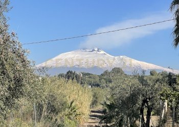 IMG_2052.jpeg - Agricultural land contrada agnelleria, Belpasso - photo 5