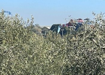 WhatsApp Image 2026-03-04 at 16.59.21 (2).jpeg - Agricultural land contrada agnelleria, Belpasso - photo 7