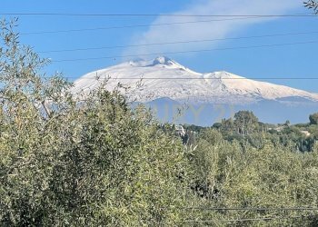 WhatsApp Image 2026-03-04 at 16.59.21 (3).jpeg - Agricultural land contrada agnelleria, Belpasso - photo 8