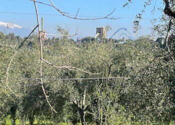 WhatsApp Image 2026-03-04 at 16.59.21 (4).jpeg - Agricultural land contrada agnelleria, Belpasso - photo 9