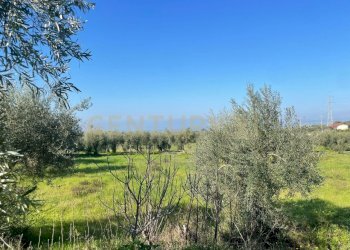 WhatsApp Image 2026-03-04 at 16.59.36 (1).jpeg - Agricultural land contrada agnelleria, Belpasso - photo 15