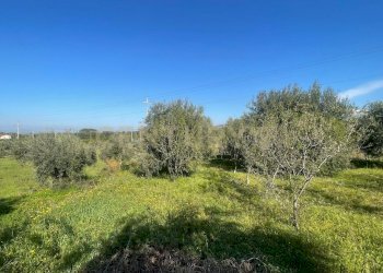 WhatsApp Image 2026-03-04 at 16.59.36 (2).jpeg - Agricultural land contrada agnelleria, Belpasso - photo 16