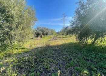 WhatsApp Image 2026-03-04 at 16.59.37 (3).jpeg - Agricultural land contrada agnelleria, Belpasso - photo 21