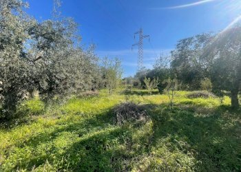 WhatsApp Image 2026-03-04 at 16.59.38 (2).jpeg - Agricultural land contrada agnelleria, Belpasso - photo 24