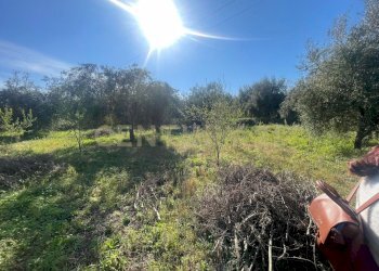 WhatsApp Image 2026-03-04 at 16.59.38 (3).jpeg - Agricultural land contrada agnelleria, Belpasso - photo 25