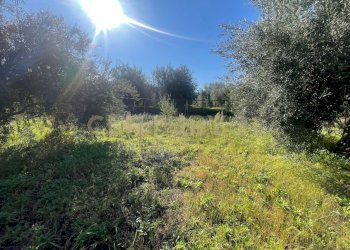 WhatsApp Image 2026-03-04 at 16.59.38.jpeg - Agricultural land contrada agnelleria, Belpasso - photo 27