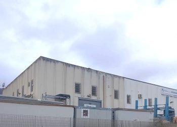 WhatsApp Image 2026-02-20 at 11.24.31 (1).jpeg - Capannone Muros - foto 1