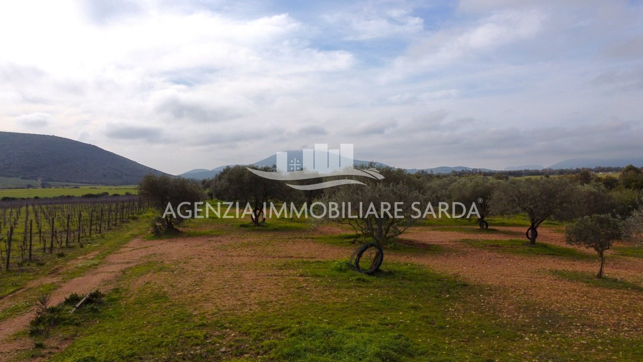 DJI_0656.JPG - Terreno edificabile Alghero - foto 1