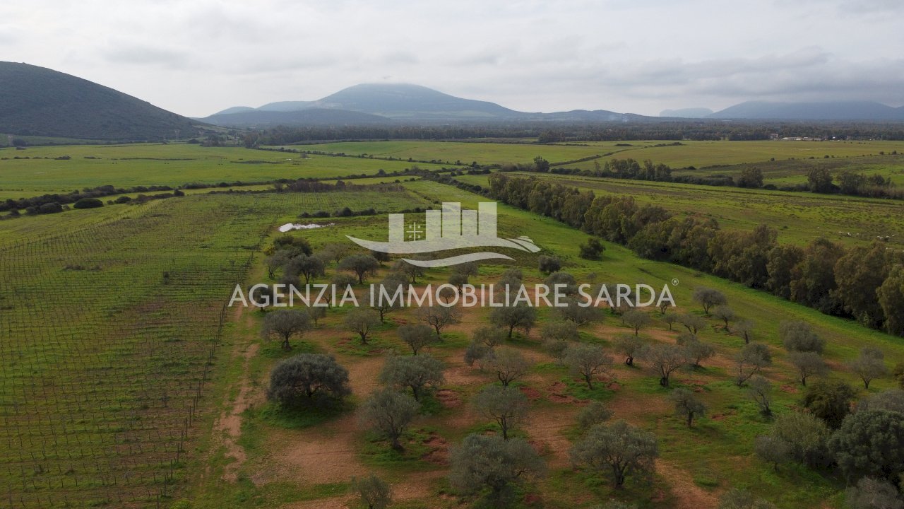 DJI_0659.JPG - Terreno edificabile Alghero - foto 2